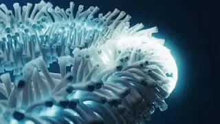 Entegma AHTYA 2.0 flower practice Blender x Houdini