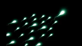 Rüyada sperm görmek, Rüyada meni görmek