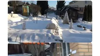 ДАЧА. Как зимуют растения в морозы. Первый ОБЗОР САДА в Новом году.