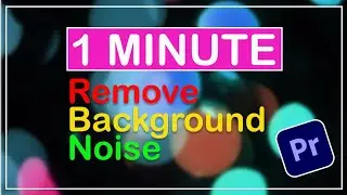 How to Remove Background Noise of your Audio In Premiere Pro | The Editor