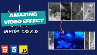 Add this cool🤯 video playing effect in your website right now | AWE Part - 6
