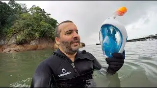 Tips and Alerts - Tribord Easybreath Dive Mask Review