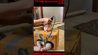 baby haircut in the  box 📦 😂😂😂