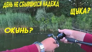 Крупный окунь на вибы (ратлины), как ловить крупного окуня летом