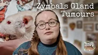 Zymbals Gland Tumours | Rat Health Issues🏥🩺🐀