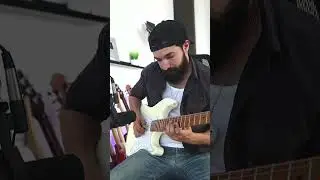This Guitar Sounds Like an ACCORDION!