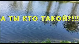 А ты кто такой?!!!