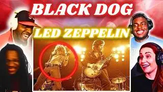 Speechless in 20 Seconds! - Led Zeppelin - Black Dog | Multiple Reactions
