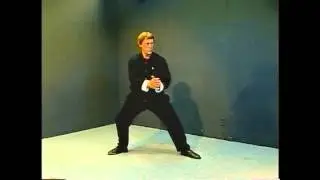 Yang Style Tai Chi Long Form Master Course - Lesson 29