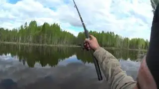 НА РЫБАЛКЕ - 