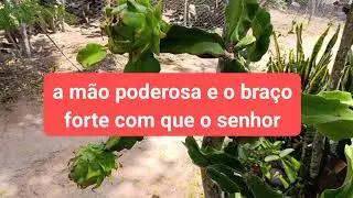 As Bençãos da Obediência, Deuteronômio 7:12-26