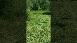 Ручная коса против триммера