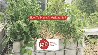 How To Make a Wicking Bed