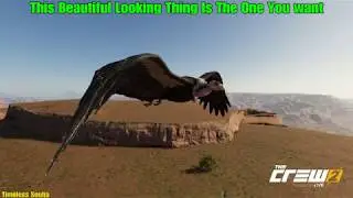 The Crew 2 - Photo Op: Flight Of The Condor - Full Guide