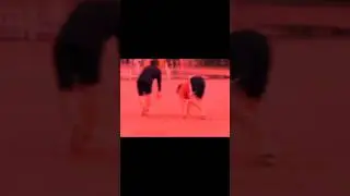 Даня Гуськов Эдит 🤓@Danya_rodnoy Стиль собачки 😂