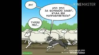Комикс " Кусок Пиццы "
