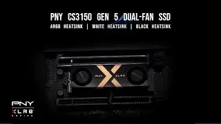 PNY XLR8 CS3150 Gen 5 SSD with ARGB Heatsink
