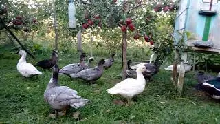 VID 20211001 172715