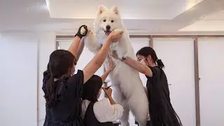 You're in the wrong place, Polar bear.