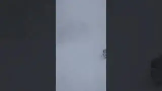 Снежный апокалипсис 24.01.24