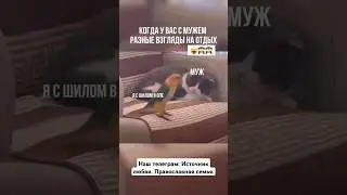 Как то так и живём)) #источник_любви #семья #рекомендации #юмор