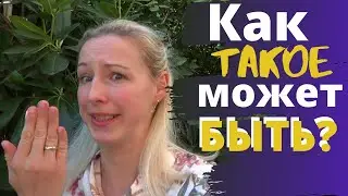 И невозможное случается! Эти животные вводят меня в шок! Как такое может быть?
