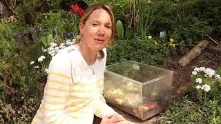 Mache mit! Schneckenprojekt 1. Teil