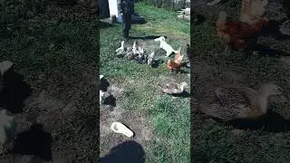 НЕ ЖАДНЫЙ ПЕС🐕☺️