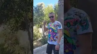 Ухажер! 
