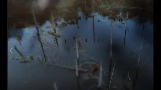 Intro til TV-program, 2019