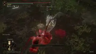 PEAK Jesus gameplay #eldenring #eldenringgameplay