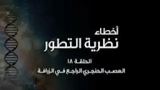 أخطاء نظرية التطور (١٨): العصب الحنجري الراجع في الزرافة - The Laryngeal nerve of the giraffe