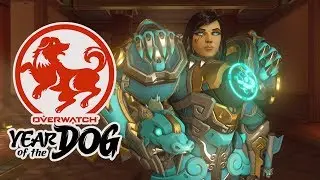 Overwatch: All Year of the Dog Skins In Game | Lunar New Year Event 2018