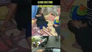 #ujangbustomi laki laki banci #shorts