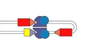 VDJ Recombination