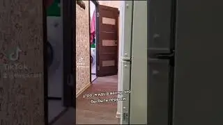 #смешныекоты