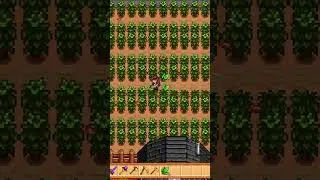 You NEED This Secret Recipe Early in Stardew Valley to Get Rich! Tea Saplings