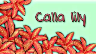 #paperflower SHIBI CRAFT VILLA| How To Make Calla Lily Paper Flowers From Crape Paper|Craft Tutorial