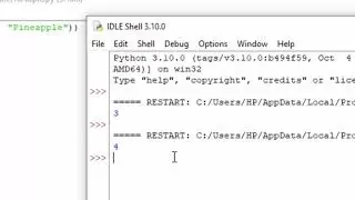 How to print the length of tuple's data type in Python