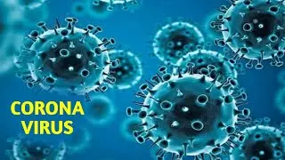 Fact About Corona Virus | P BRAND
