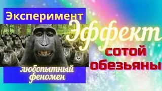 Эффект сотой обезьяны.