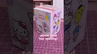 sanrio blind box! 