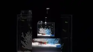 Boxtech Aquarium Coral Ornament Decor #shorts#shortvideo