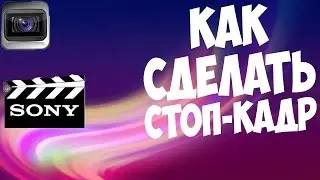 Как сделать стоп-кадр(freeze-frame) в SonyVegasPro 11 ??