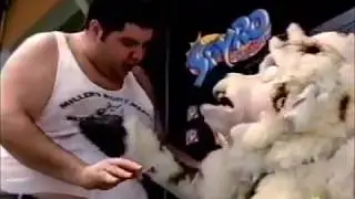 Crash touch the lamb butt