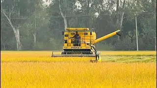 Preet 987 Harvester combine with Newholland