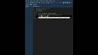 C Programming | Perimeter of rectangle | Coding With Sohail |