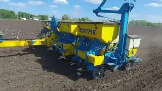 Сіємо кавун на полі сівалкою АТРІЯ .