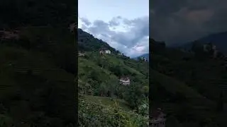 #Karadeniz💕 #keşfet #bestvideo #shorts #shortsvideo #youtube #tiktok #nature #natural #montage #food