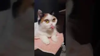Когда перебрал дозу))